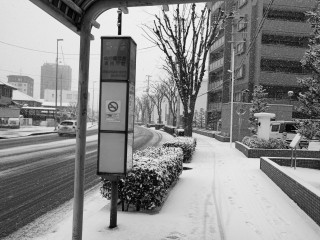 DSC_0050